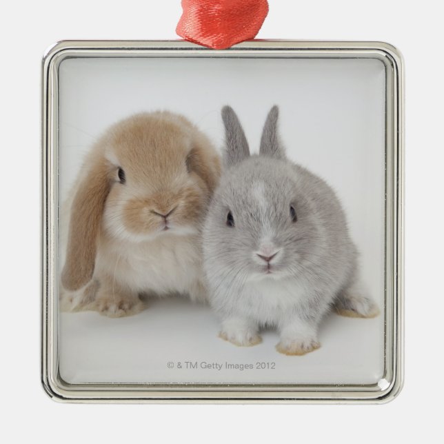 Two Netherland Dwarf and Holland Lop Bunnies Metal Ornament (Front)