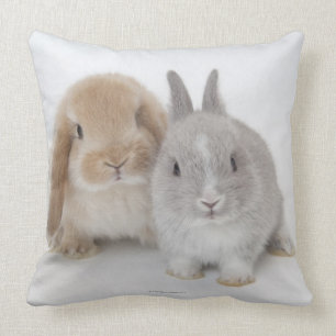 Two Netherland Dwarf and Holland Lop bunnies Throw Pillow
