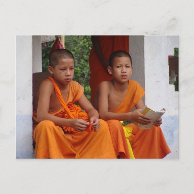 Two Novice Monks Studying Postcard (Front)