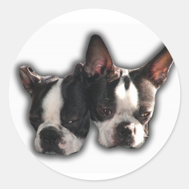 Two of a Kind Classic Round Sticker (Front)