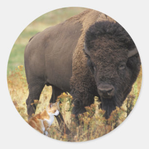 Two of a Kind Classic Round Sticker