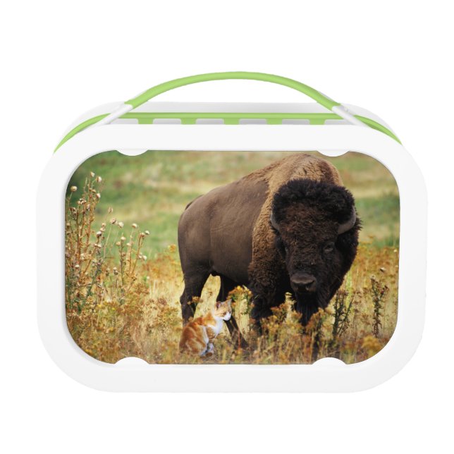 Two of a Kind Lunch Box (Back)