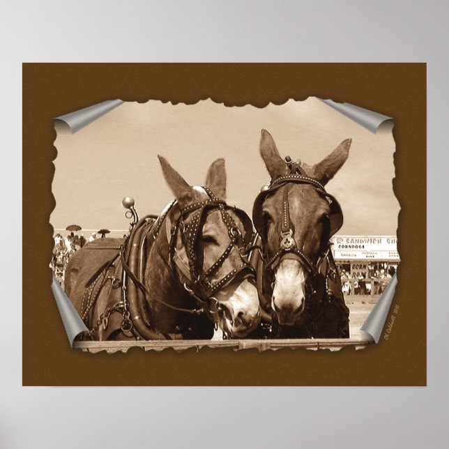 Two of A Kind Poster (Front)