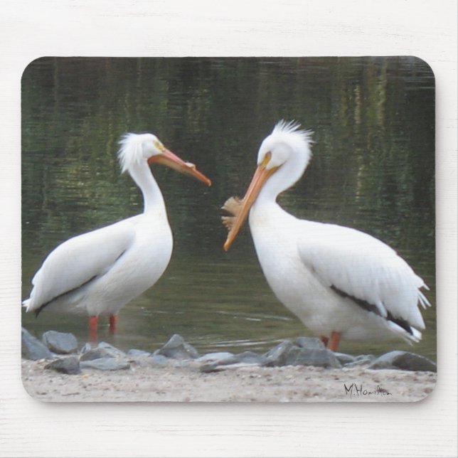 Two Old Friends Pelicans Mouse Pad (Front)