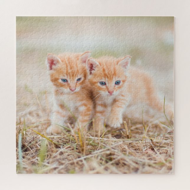 Two Orange Tiger Kittens in Grass Jigsaw Puzzle (Horizontal)