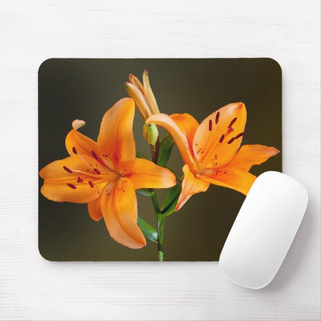 Two Orange Tiger Lillies and Buds Photograph Mouse Pad (With Mouse)
