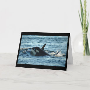 Two Orcas Greeting Card