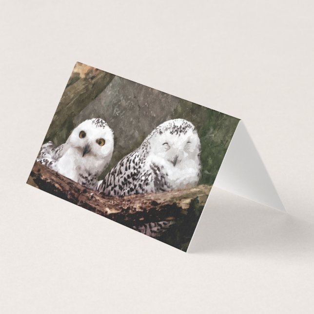 Two Owls (Front)