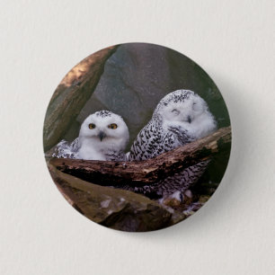 Two Owls 2 Inch Round Button