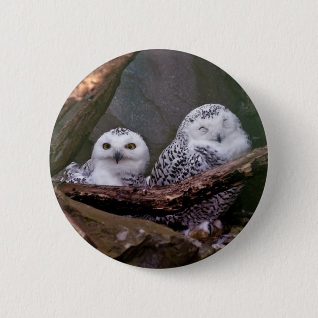 Two Owls 2 Inch Round Button (Front)