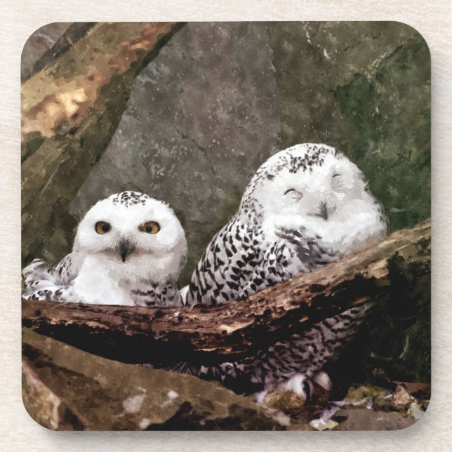 Two Owls Coaster (Front)
