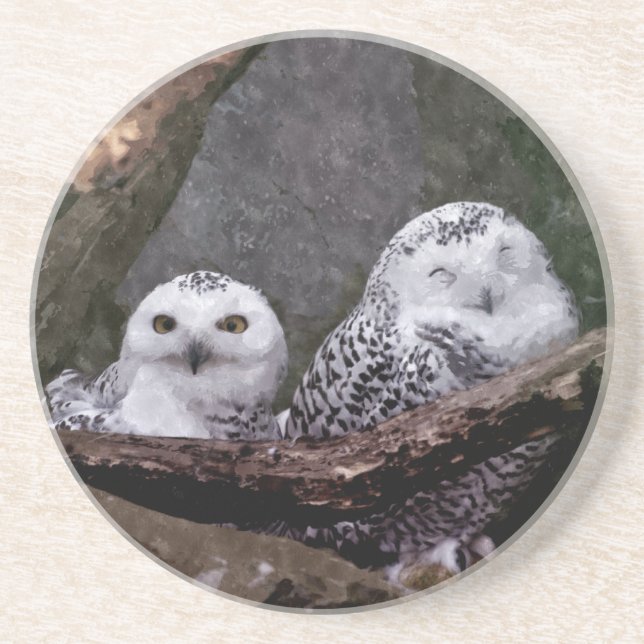 Two Owls Coaster (Front)