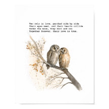 Two Owls in Love