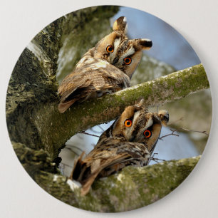Two Owls in the Woods, birds, wildlife Button