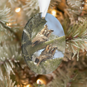 Two Owls in the Woods, birds, wildlife Ornament