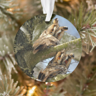 Two Owls in the Woods, birds, wildlife Ornament