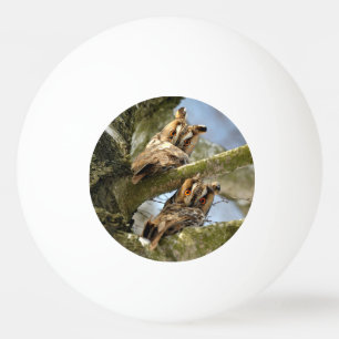 Two Owls in the Woods, birds, wildlife Ping Pong B Ball