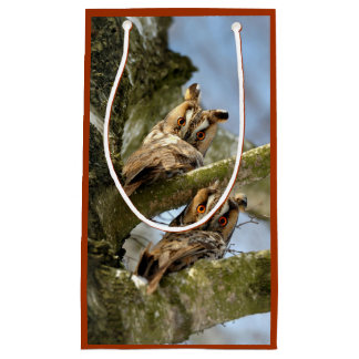 Two Owls in the Woods, birds, wildlife Small Gift  Bag