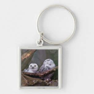 Two Owls Keychain