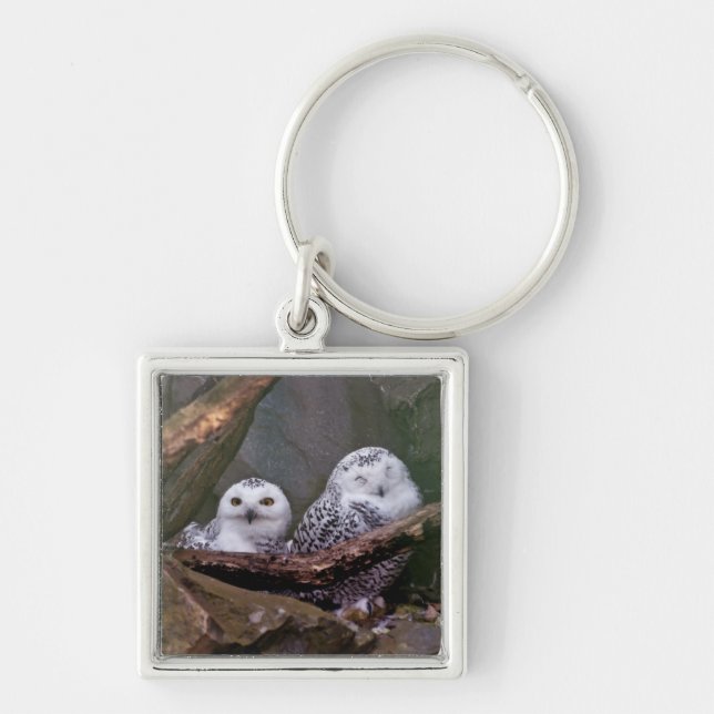 Two Owls Keychain (Front)