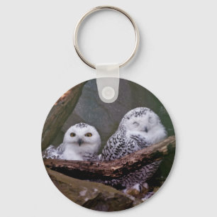Two Owls Keychain