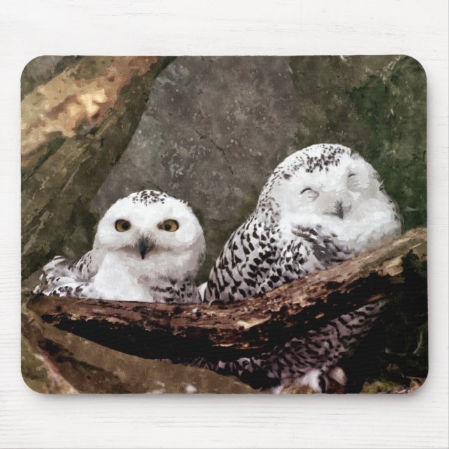 Two Owls Mouse Pad (Front)