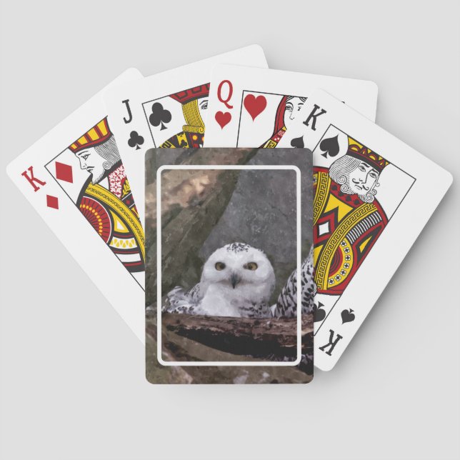 Two Owls Playing Cards (Back)