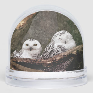 Two Owls Snowglobe