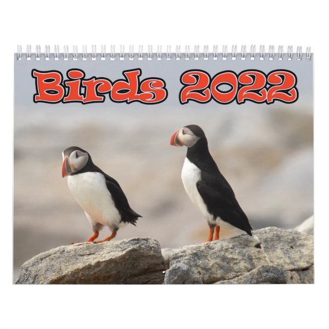 Two Page MediumCalendar, White Calendar (Cover)