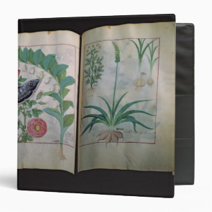 Two pages depicting Rose and Garlic Binder