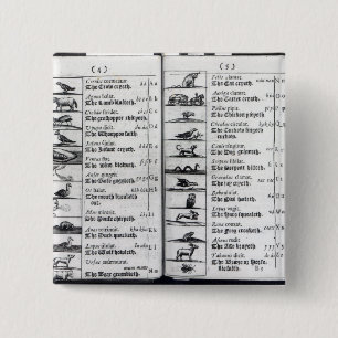 Two pages from 'Orbis Sensualium Pictus' 2 Inch Square Button