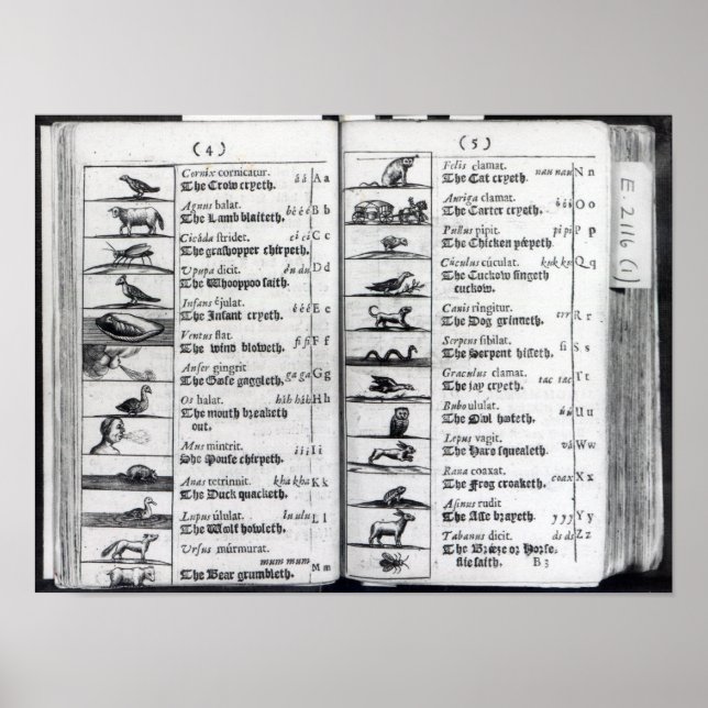 Two pages from 'Orbis Sensualium Pictus' Poster (Front)