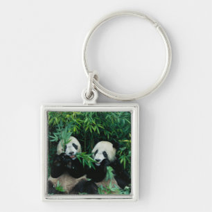 Two pandas eating bamboo together, Wolong Keychain