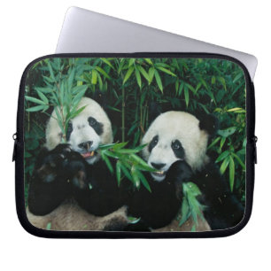 Two pandas eating bamboo together, Wolong Laptop Sleeve