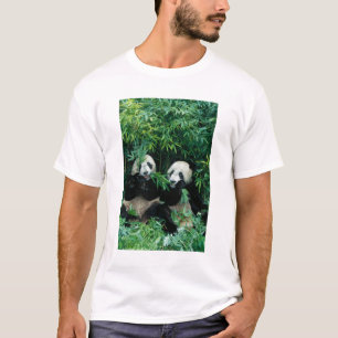 Two pandas eating bamboo together, Wolong T-Shirt