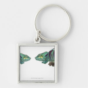 Two Panther Chameleons Nosy Be (Furcifer) Keychain