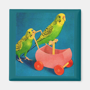 two parakeets magnet
