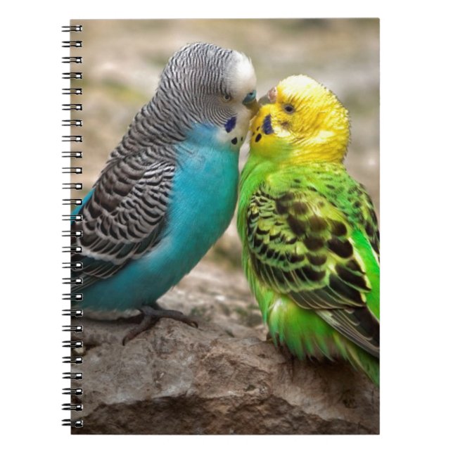Two Parakeets Notebook (Front)