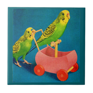 two parakeets tile
