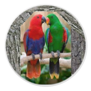 Two parrots on a ceramic door knob and door pulls.