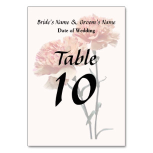Two Peach and Pink Carnations Table Number