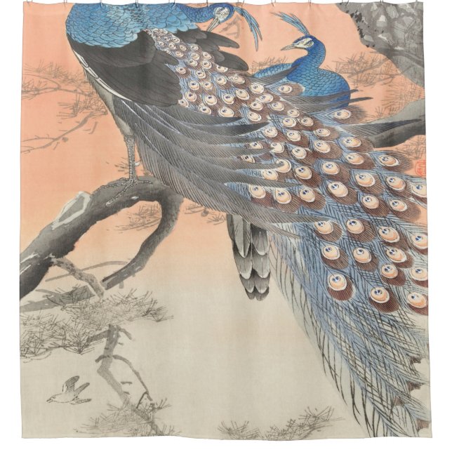 Two Peacocks On Tree Branch By Ohara Koson (Front)