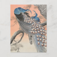 Two Peacocks on Tree Branch by Ohara Koson