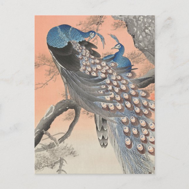 Two Peacocks on Tree Branch by Ohara Koson Postcard (Front)