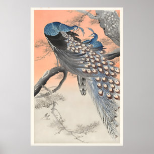 Two Peacocks on Tree Branch Japanese Fine Art Poster