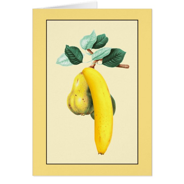 Two Pears and a Banana (Front)