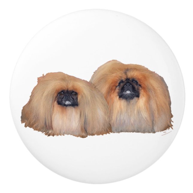 Two Pekingese Ceramic Knob (Front)