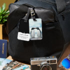 Two Penguins touching beaks