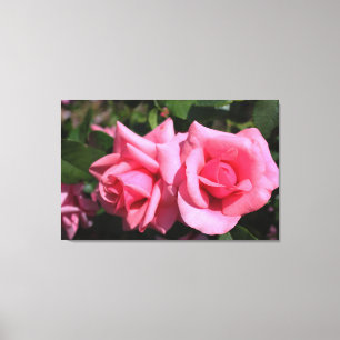two perfect hot pink rose flowers. love canvas print