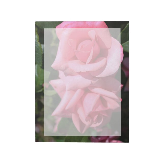 two perfect hot pink rose flowers. love notepad (Rotated)